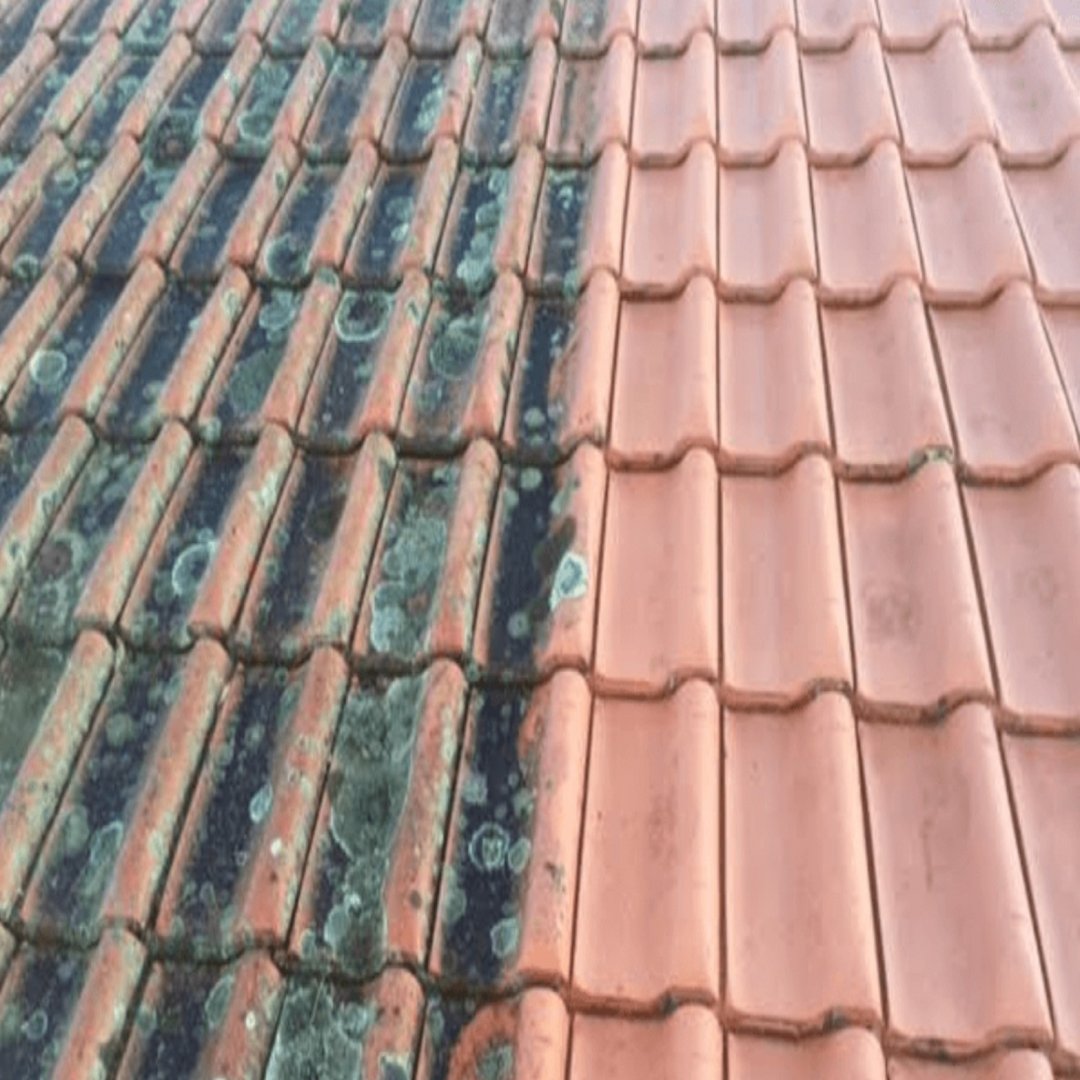 Démoussage de toiture en tuiles avec NOMSOCIETE