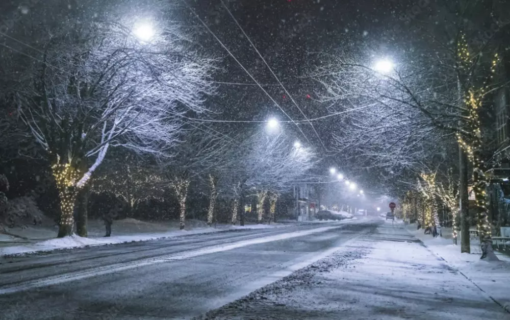 Vague De Froid : Protégez Votre Toiture
